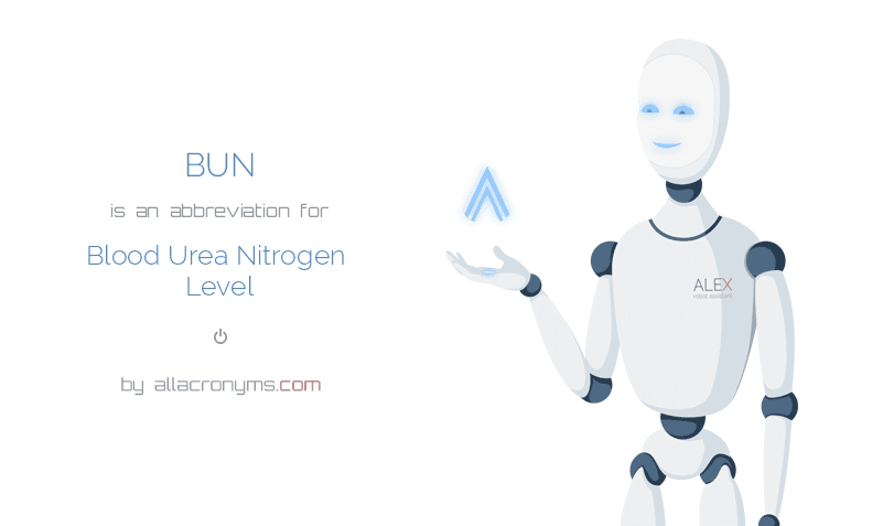 Bun Blood Urea Nitrogen Level