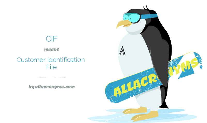 cif-customer-identification-file