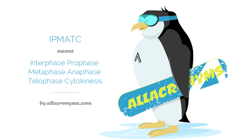 IPMATC Interphase Prophase Metaphase Anaphase Telophase Cytokinesis