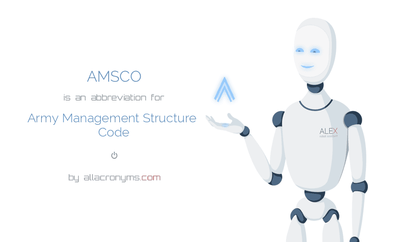 amsco-army-management-structure-code